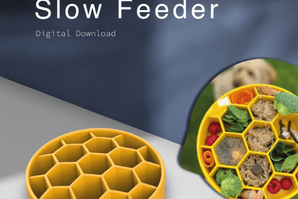 Honeycomb Slow Feeder Bowl: A Smarter Way to Feed Your Pet